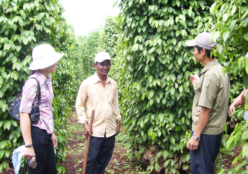 Lợi nhà nông - lợi doanh nghiệp 
