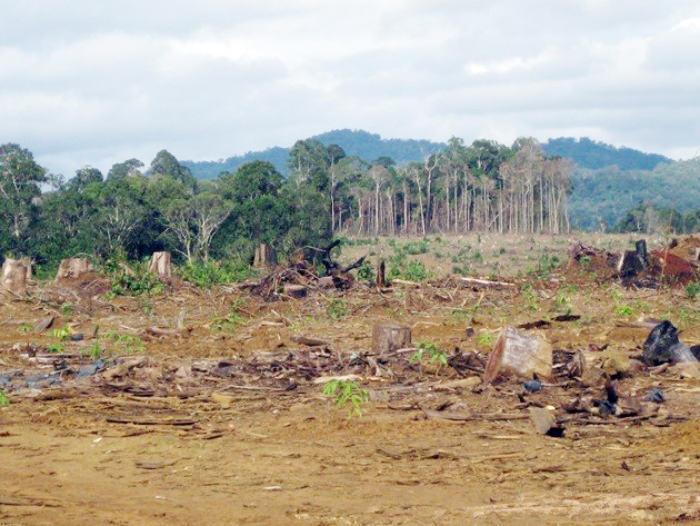 &ldquo;Luật Đất đai sửa đổi c&oacute; kế thừa nhưng chi tiết hơn&rdquo;