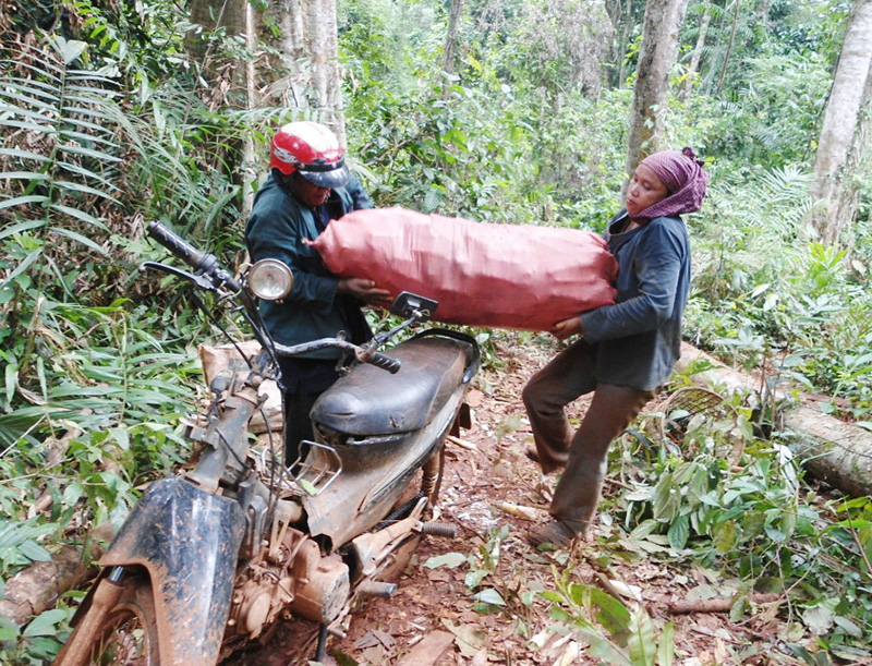 Nhọc nhằn mùa măng