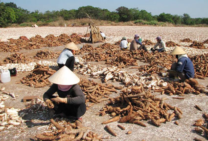 6 tháng đ&acirc;̀u năm toàn tỉnh thu ng&acirc;n sách 1.455 tỷ đ&ocirc;̀ng