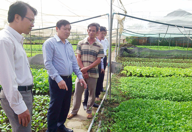 Thăm m&ocirc; h&igrave;nh trồng rau an to&agrave;n