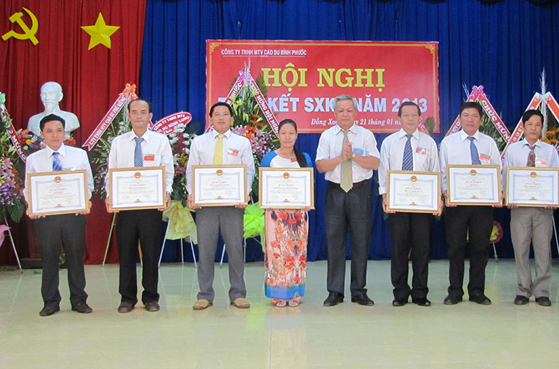 Năm 2013, doanh thu của cao su Bình Phước đạt gần 162 tỷ đồng