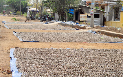 Ngành điều đối mặt với nhiều khó khăn