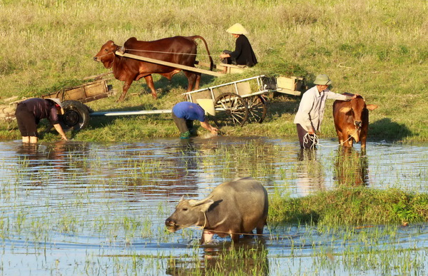 Về thăm Nghệ An - Những miền qu&ecirc; &ldquo;tốt đời đẹp đạo&rdquo;
