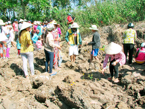 Hàng ngàn người đổ xô đến xem mặt ruộng 'đột nhiên nhô cao lên 1,8 m'