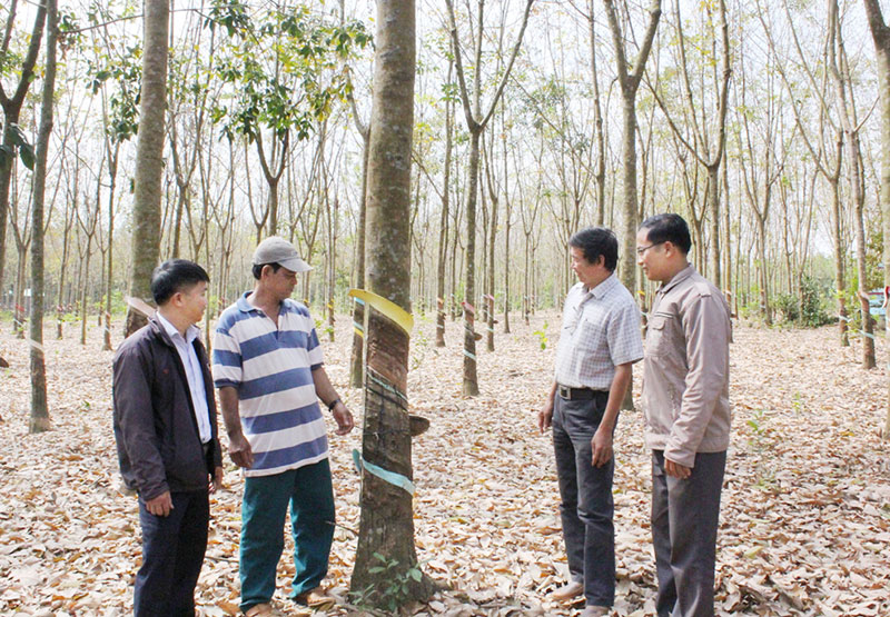 Những đổi thay ở Thuận Tiến