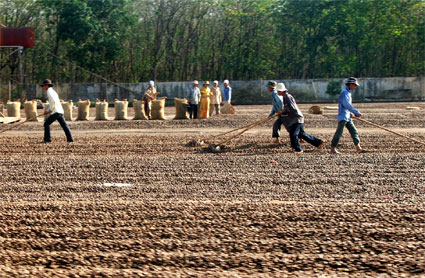 Hơn 514 tỷ đồng tiền nợ thuế