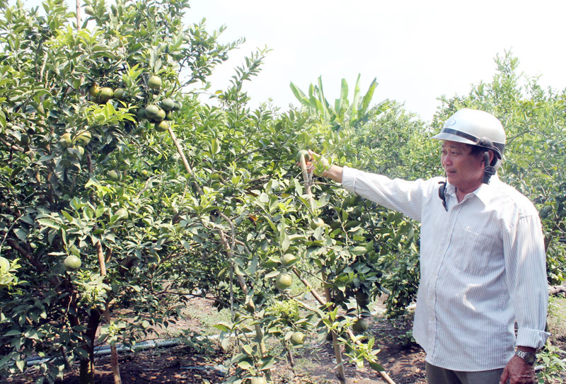 Nông dân nhọc nhằn vì nắng hạn