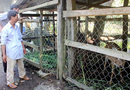 Chào mừng Đại hội Hội Nông dân huyện Lộc Ninh, nhiệm kỳ 2012-2017 