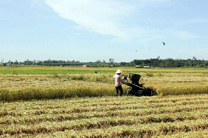 Nông dân xã Lộc Hưng phấn khởi vì lúa được mùa, được giá