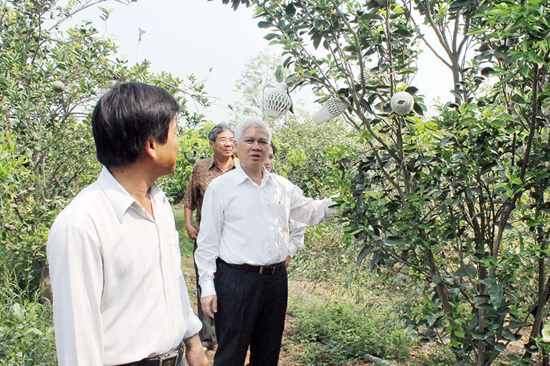 Phó chủ tịch Thường trực UBND tỉnh Nguyễn Văn Lợi thăm các mô hình sản xuất - kinh doanh giỏi