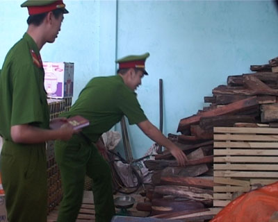 Ph&aacute;t hiện hơn 4 tấn gỗ trắc kh&ocirc;ng chủ