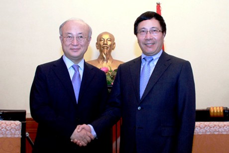 Việt Nam coi trọng ph&aacute;t triển quan hệ với IAEA