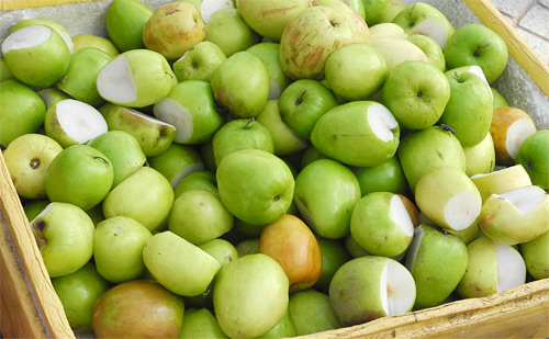 Mưu sinh bằng nghề bán hoa quả thối