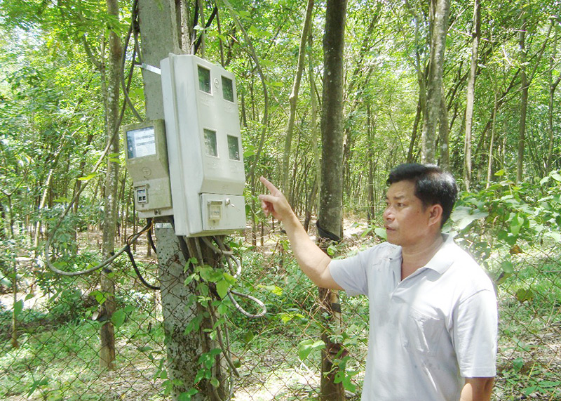 Quýt làm nhưng cam phải chịu!