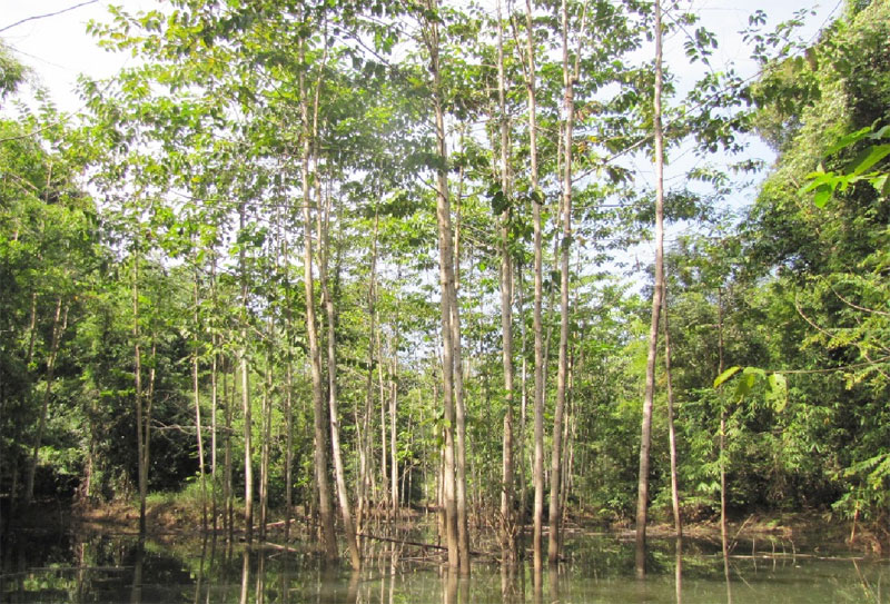 Doanh nghiệp TP. Hồ Chí Minh đề nghị hợp tác lĩnh vực nông nghiệp