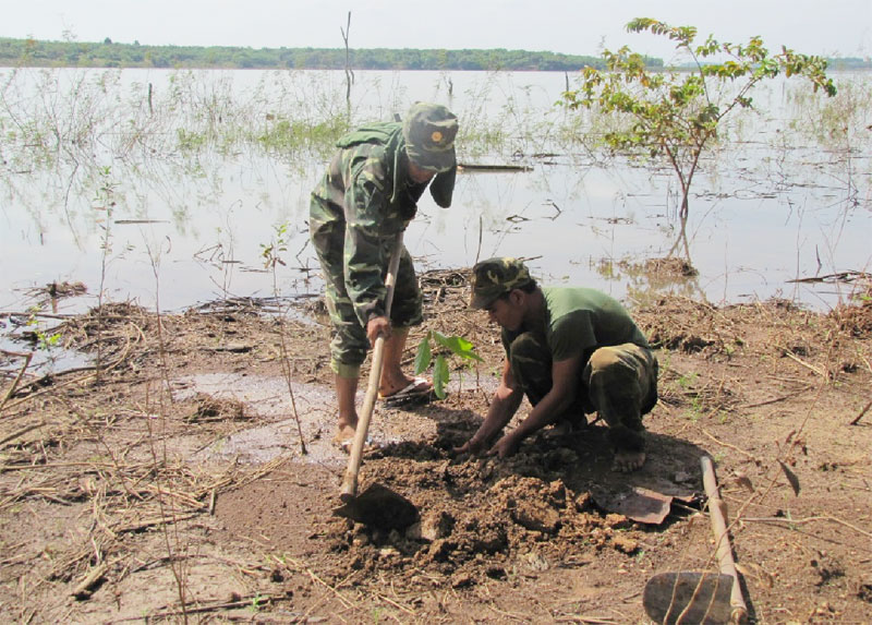 Tiếp tục thực hiện 17 dự &aacute;n chuyển đổi rừng