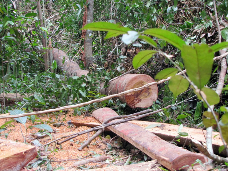 Lộc Ninh giảm vi phạm l&acirc;m luật