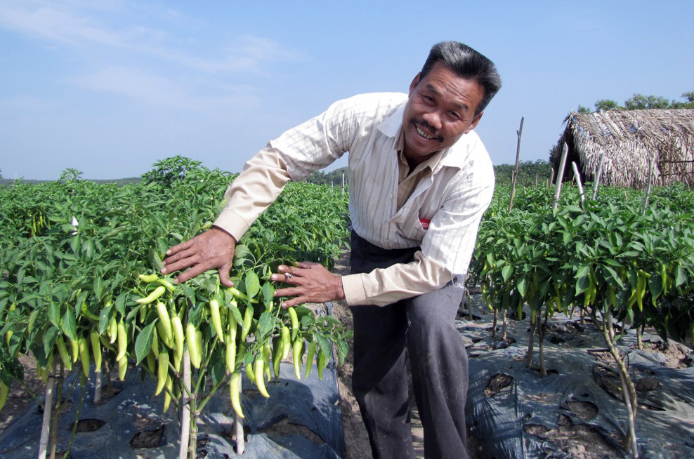 Thu 100 triệu đồng từ 0,4 ha đất