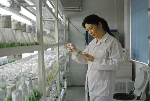 Đầu tư cho khoa học nông nghiệp