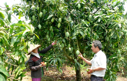 T&aacute;c động t&iacute;ch cực từ học tập v&agrave; l&agrave;m theo B&aacute;c ở thị x&atilde; Phước Long