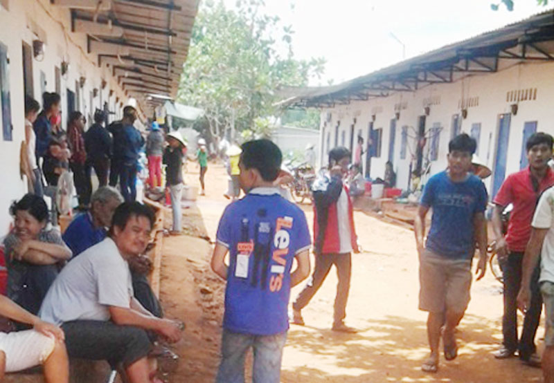 Lùi xe không quan sát làm chết một học sinh lớp 3 ở Phước Long