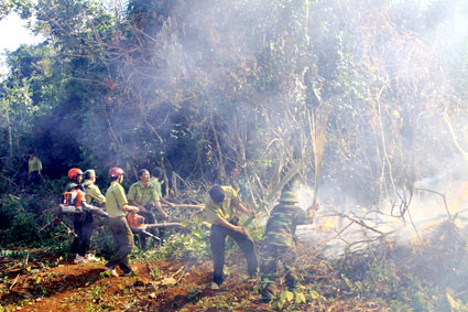 Tăng cường phòng chống cháy rừng trong mùa khô