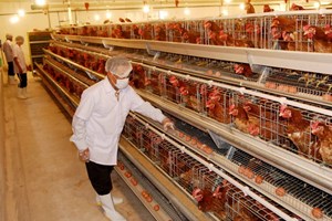 Tỉnh B&igrave;nh Dương c&ocirc;ng bố th&agrave;nh lập thị x&atilde; T&acirc;n Uy&ecirc;n