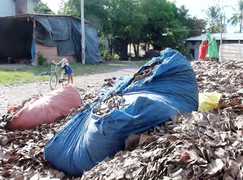 Thêm một thương vụ lạ của lái buôn Trung Quốc