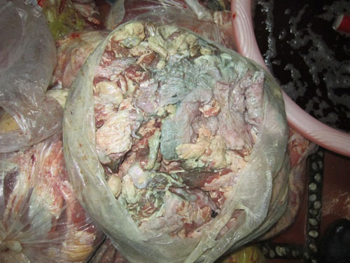 Bắt giữ hơn 1.000 kg thịt heo thối