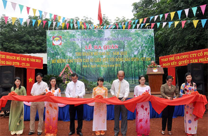 Thống nhất phương án chia lợi nhuận từ liên doanh trồng cao su thuộc Chương trình 134