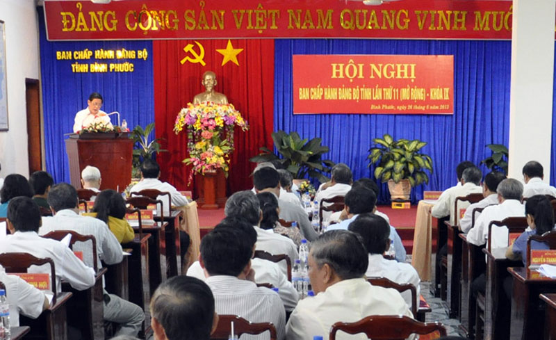 Ban chấp h&agrave;nh đảng bộ tỉnh kh&oacute;a IX hội nghị lần thứ 11