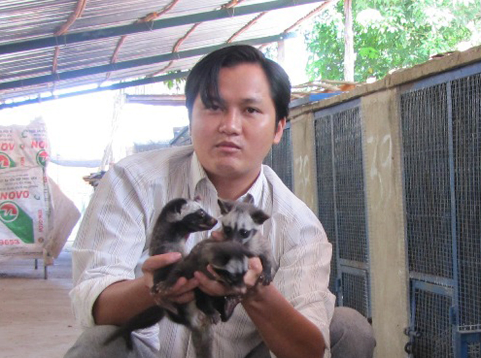 Làm giàu từ chồn hương và cà phê chồn