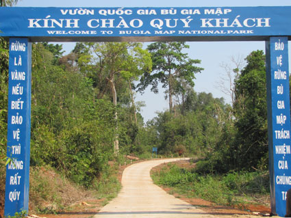 104 vụ vi phạm trong vườn quốc gia B&ugrave; Gia Mập