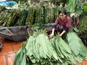 Hà Nội dành 13.000 tỷ đồng xử lý ô nhiễm làng nghề