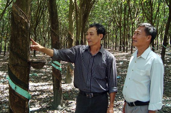 T&acirc;n Tiến - điểm s&aacute;ng l&agrave;m theo B&aacute;c