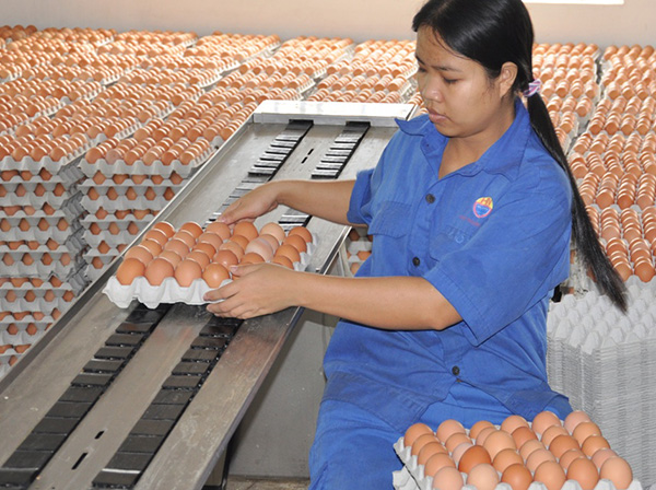 6 th&aacute;ng cuối năm sẽ tăng cường th&aacute;o gỡ kh&oacute; khăn cho doanh nghiệp 