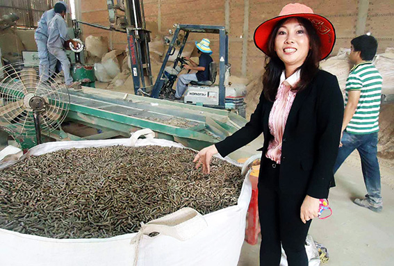 Thu tiền tỷ từ... mùn cưa, dăm bào