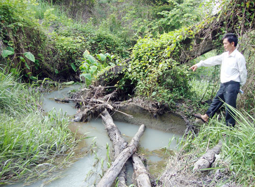 Đập thủy lợi bị ô nhiễm