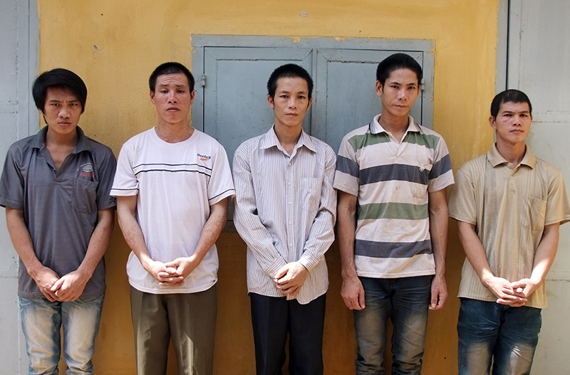 Khởi tố nh&oacute;m đối tượng chặt ph&aacute; c&acirc;y cao su