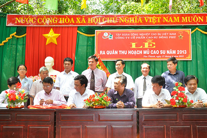 Cao su Đồng Phú phấn đấu khai thác 15.200 tấn mủ