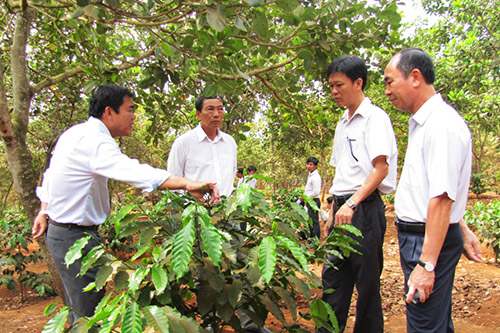 HĐND tỉnh gi&aacute;m s&aacute;t sử dụng vốn khoa học c&ocirc;ng nghệ