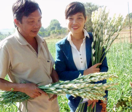 Người trồng hoa Phú Thịnh mong chờ mùa tết được giá