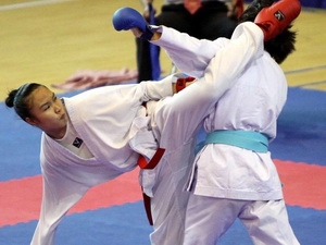 300 vận động viên dự giải karatedo toàn quốc lần 23