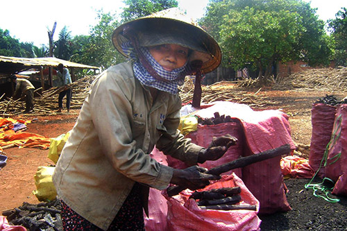 Nghề đốt than ở Bàu Nghé sẽ đi đâu, về đâu?