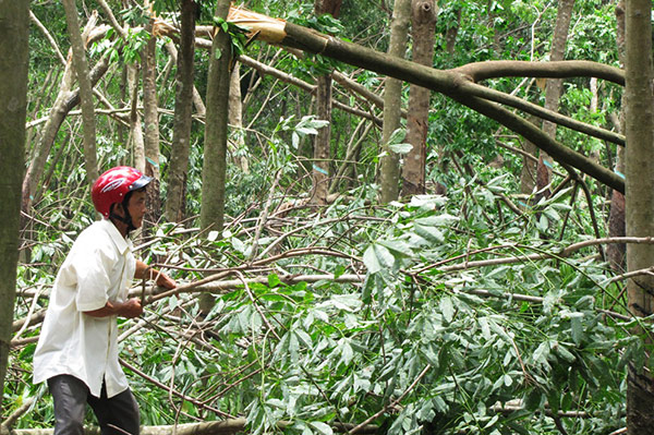 Lốc xoáy tàn phá xóm nghèo 