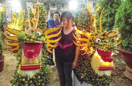 Hoa xuân khoe sắc