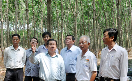 Đồng ch&iacute; B&iacute; thư tỉnh ủy Nguyễn Tấn Hưng thăm c&aacute;c m&ocirc; h&igrave;nh n&ocirc;ng d&acirc;n sản xuất ti&ecirc;u biểu