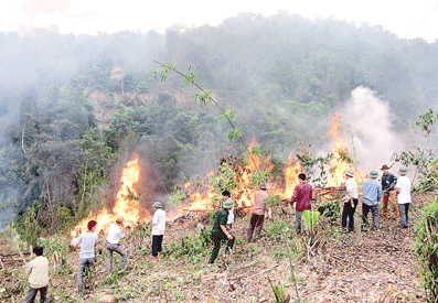 Chế độ bồi dưỡng người tham gia chữa cháy rừng