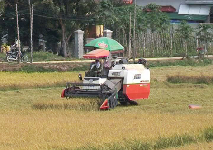 Phó bí thư thường trực tỉnh ủy Võ Đình Tuyến: Cần đổi mới mạnh mẽ về tư duy kinh tế hợp tác và hợp tác xã